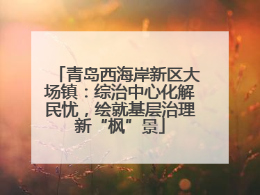 青岛西海岸新区大场镇：综治中心化解民忧，绘就基层治理新“枫”景