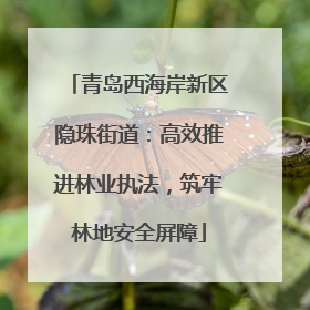 青岛西海岸新区隐珠街道：高效推进林业执法，筑牢林地安全屏障