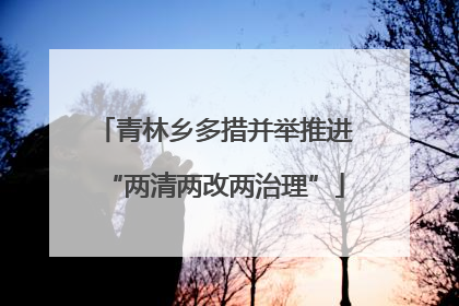 青林乡多措并举推进“两清两改两治理”