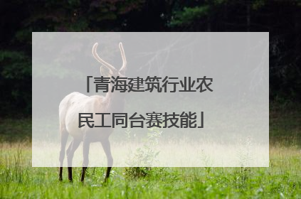 青海建筑行业农民工同台赛技能