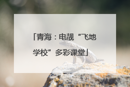 青海：电靓“飞地学校”多彩课堂