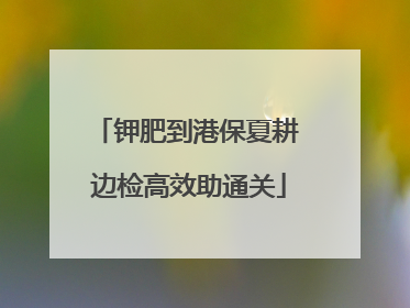 钾肥到港保夏耕 边检高效助通关