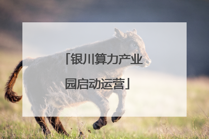 银川算力产业园启动运营