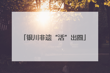 银川非遗“活”出圈