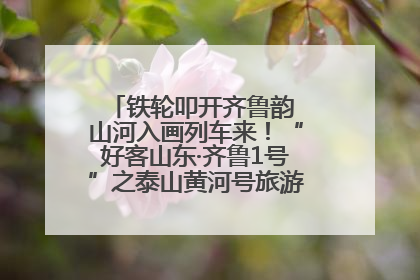 铁轮叩开齐鲁韵 山河入画列车来！“好客山东·齐鲁1号”之泰山黄河号旅游列车首发活动侧记