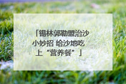锡林郭勒盟治沙小妙招 给沙地吃上“营养餐”