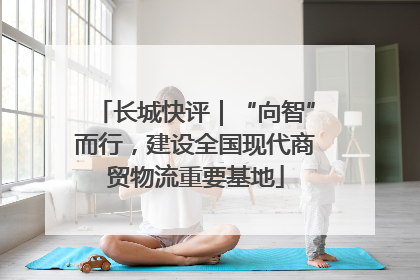 长城快评｜“向智”而行，建设全国现代商贸物流重要基地