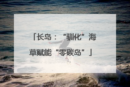 长岛：“驯化”海草赋能“零碳岛”