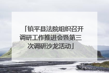 镇平县法院组织召开调研工作推进会暨第三次调研沙龙活动