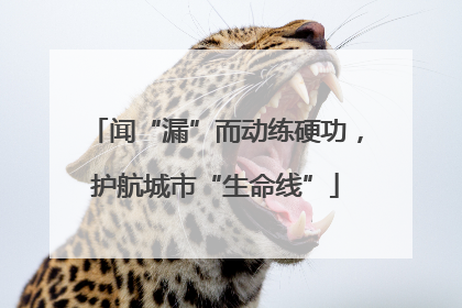 闻“漏”而动练硬功，护航城市“生命线”