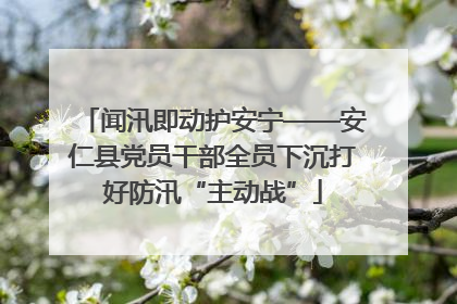 闻汛即动护安宁——安仁县党员干部全员下沉打好防汛“主动战”