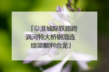 阜淮城际铁路跨涡河特大桥钢混连续梁顺利合龙