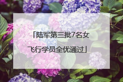 陆军第三批7名女飞行学员全优通过