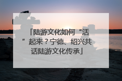 陆游文化如何“活 ”起来？宁德、绍兴共话陆游文化传承