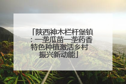 陕西神木栏杆堡镇：一垄瓜苗一垄药香 特色种植激活乡村振兴新动能