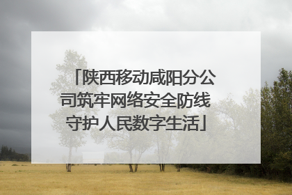 陕西移动咸阳分公司筑牢网络安全防线守护人民数字生活