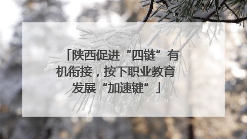 陕西促进“四链”有机衔接，按下职业教育发展“加速键”
