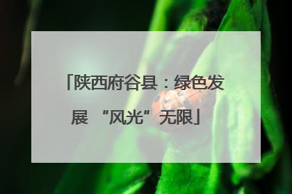 陕西府谷县：绿色发展 “风光”无限