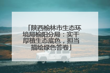 陕西榆林市生态环境局榆阳分局：实干厚植生态底色，担当描绘绿色答卷