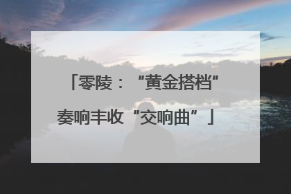 零陵：“黄金搭档”奏响丰收“交响曲”