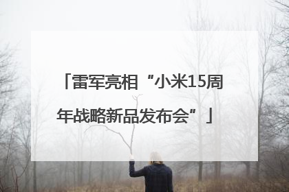 雷军亮相“小米15周年战略新品发布会”