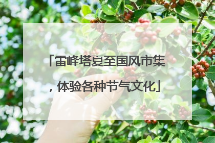 雷峰塔夏至国风市集，体验各种节气文化