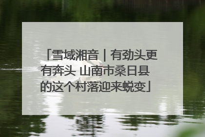 雪域湘音｜有劲头更有奔头 山南市桑日县的这个村落迎来蜕变