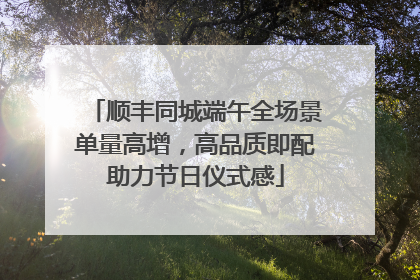 顺丰同城端午全场景单量高增，高品质即配助力节日仪式感