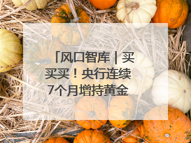 风口智库｜买买买！央行连续7个月增持黄金，专家：金价或仍易涨难跌