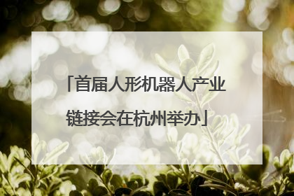 首届人形机器人产业链接会在杭州举办