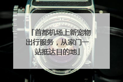 首都机场上新宠物出行服务，从家门一站抵达目的地