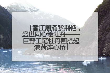 香江潮涌紫荆艳，盛世同心绘牡丹——巨野工笔牡丹画搭起港菏连心桥