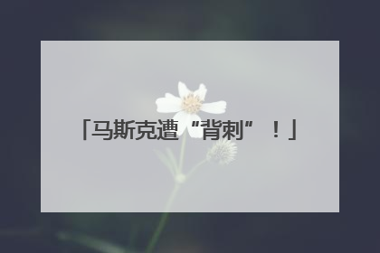 马斯克遭“背刺”！