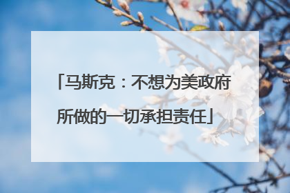 马斯克：不想为美政府所做的一切承担责任