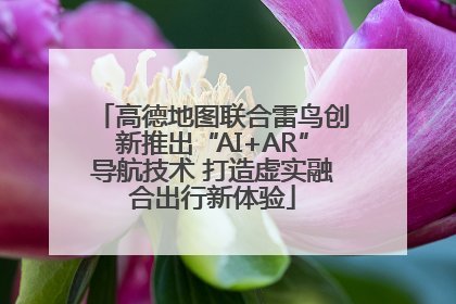 高德地图联合雷鸟创新推出“AI+AR”导航技术 打造虚实融合出行新体验