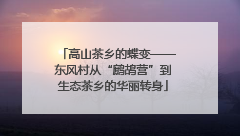 高山茶乡的蝶变——东风村从“鹧鸪营”到生态茶乡的华丽转身