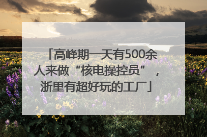 高峰期一天有500余人来做“核电操控员”，浙里有超好玩的工厂