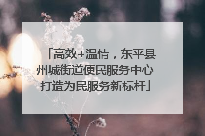 高效+温情，东平县州城街道便民服务中心打造为民服务新标杆