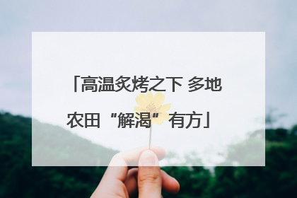 高温炙烤之下 多地农田“解渴”有方