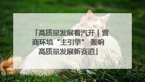 高质量发展看汽开｜营商环境“主引擎” 轰响高质量发展新赛道