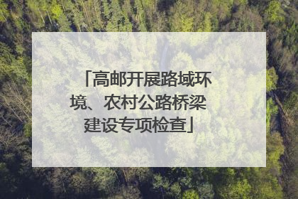 高邮开展路域环境、农村公路桥梁建设专项检查