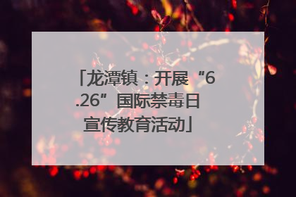 龙潭镇：开展“6.26”国际禁毒日宣传教育活动