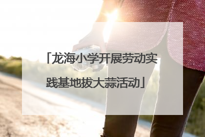 龙海小学开展劳动实践基地拔大蒜活动