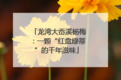 龙湾大岙溪杨梅：一颗“红盘绿蒂”的千年滋味