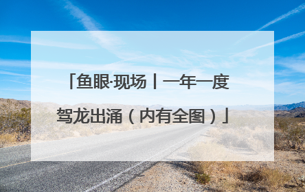 鱼眼·现场丨一年一度 驾龙出涌（内有全图）