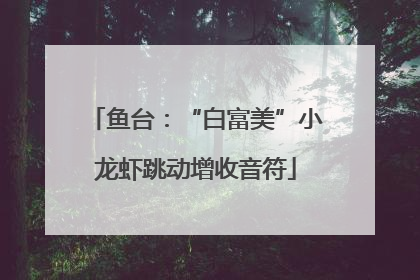 鱼台：“白富美”小龙虾跳动增收音符