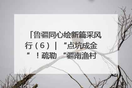鲁疆同心绘新篇采风行（6）｜“点坑成金”！疏勒 “疆南渔村” 从废弃坑塘变身全国垂钓胜地