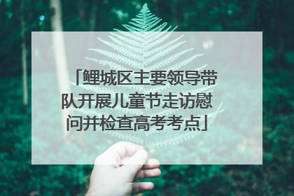 鲤城区主要领导带队开展儿童节走访慰问并检查高考考点