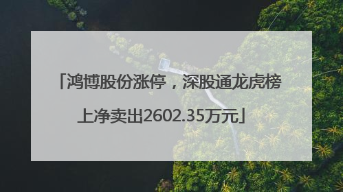 鸿博股份涨停，深股通龙虎榜上净卖出2602.35万元