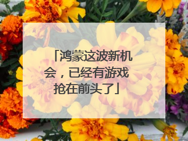 鸿蒙这波新机会，已经有游戏抢在前头了